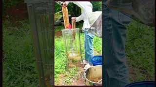 Natural Honey Harvesting from Beehives  EcoFriendly Beekeeping Tips 🍯🐝 [upl. by Arva]