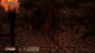 Oblivion Walkthrough  Allies for Bruma  Anvil  Through the Oblivion Tunnels  WikiGameGuides [upl. by Yruy543]