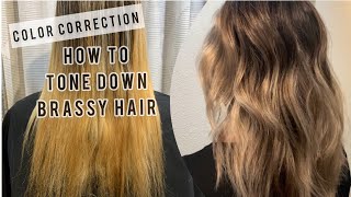 COLOR CORRECTION  Toning Down BRASSY Hair  Tips For FORMULATING [upl. by Hamfurd328]