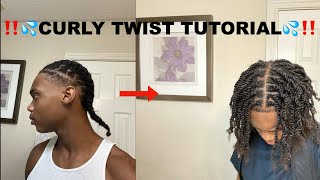 2 STRAND TWIST BRAIDOUT‼️CURLY TWIST TUTORIAL‼️MUST WATCH [upl. by Jelks691]