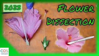 FLOWER DISSECTION Reproduction in Flowering Plants Virtual Lab  Virtual Science Shorts [upl. by Obadias]