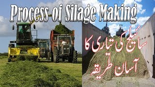 The process of silage making [upl. by Manlove]