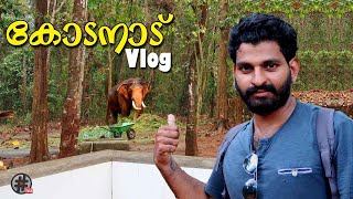 Kodanad Elephant Sanctuary and Deer park vlog  കോടനാട് ആന പരിശീലന കേന്ദ്രം [upl. by Demetri804]