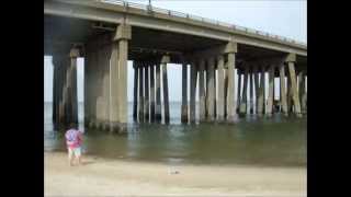 Surf Fishing Lynnhaven Inlet  The View From the Beach [upl. by Zanlog]