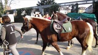 Equitana 2011  Rundgang  Haarmode bei Pferden   Der Zopf ist in [upl. by Gianni]