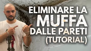 Come TOGLIERE la MUFFA dalle pareti  Tutorial [upl. by Delaryd]