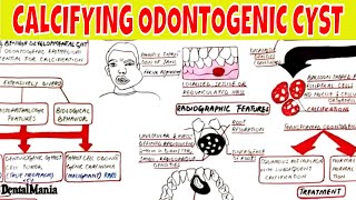 Calcifying Odontogenic Cyst  Clinical radiographic Histopathologic Features and Treatment [upl. by Mairb]