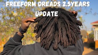 30 months of growing dreadlocks FREEFORM DREADS Update  experiences on the journey [upl. by Drud825]