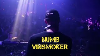 NUMB  Vinsmoker  Ft Rachel Leycroft [upl. by Atikihs]