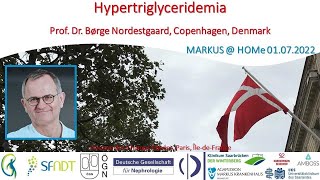 Hypertriglyceridemia  Prof Nordestgaard Copenhagen Denmark [upl. by Wieche946]