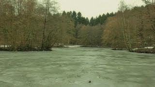 MENDEN  Hexenteich Witches pond [upl. by Alehcim]