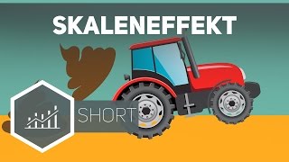 Skaleneffekt – Grundbegriffe der Wirtschaft [upl. by Vernor]