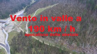 Apocalisse nelle abetaie Melette di Gallio Asiago Maltempo 1080p60HD [upl. by Demetrius808]