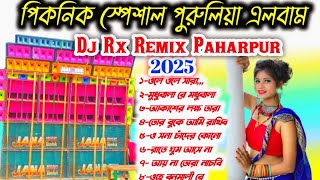 Picnic special Purulia New Album Dj Rx Remix 2025 [upl. by Pompei756]