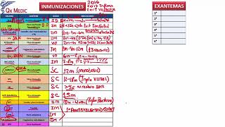 3 RM19 1V DIA 1 PEDIATRIA MAPA MENTAL INMUNIZACIONES EXANTEMAS [upl. by Xena]