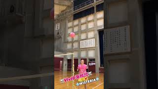 VIVID×WISTERIA WISTERIAWORLDVOLLEYBALL [upl. by Margeaux]