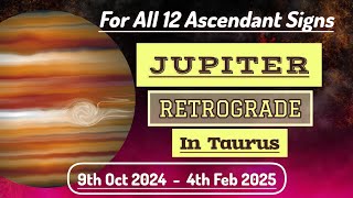 Jupiter Retrograde 2024  Jupiter Retrograde in Taurus 2024  For All 12 Ascendant Signs [upl. by Ellett]