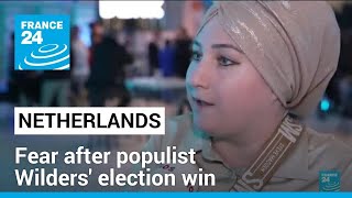 Praise and fear after Dutch populist Wilders election win • FRANCE 24 English [upl. by Nilcaj610]