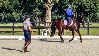 Pedro Torres Working Equitation Clinic [upl. by Ultan303]