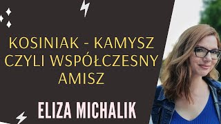 Kosiniak  Kamysz czyli współczesny amisz [upl. by Finbur]