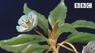 Magical Faberge flower valued at £1 million  Antiques Roadshow  BBC One [upl. by Dulcia]