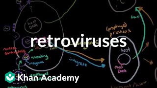 Retroviruses  Cells  MCAT  Khan Academy [upl. by Agnese]