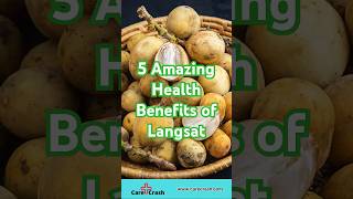 5 Amazing Health Benefits of Langsat Lanzones  carecrash [upl. by Corliss27]