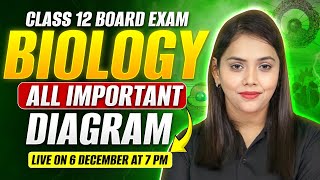 Class 12 Biology All Important Diagram  Class 12 Board Exam 2025 Biology All Important Diagrams [upl. by Atterol]