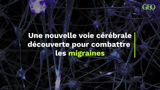 Une nouvelle voie cérébrale découverte pour combattre les migraines [upl. by Il]