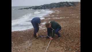 Reculver Longshore drift Measurements [upl. by Fiona]