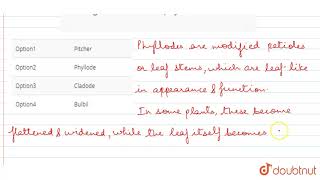 Analogous structure of phylloclade is called [upl. by Llertnod]