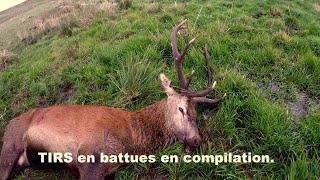 Tirs en compilation en battues [upl. by Ruelle]