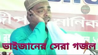 Falak par chand jaisa hai পীরজাদা আব্বাস সিদ্দিকী হিন্দি গজল Abbas bhaijaner hindi gojol [upl. by Nyladgam961]