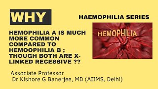 Why Hemophilia A is much more common compared to Haemophilia B [upl. by Koppel742]