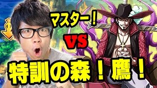 トレクル！特訓の森マスター！鷹に挑戦！ONE PIECE [upl. by Jacoba]