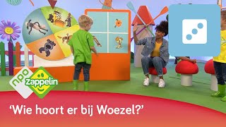 WAT HOORT BIJ ELKAAR 2  Kinderspelletjes spelen met Fenna  NPO Zappelin [upl. by White69]