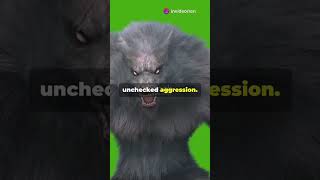 The Werewolves Transformation Of Man Into Beast Werewolf Transformation [upl. by Guy993]