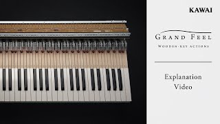 Kawai Grand Feel  Woodenkey Digital Piano Keyboard Actions  Explanation Video [upl. by Yrrag244]