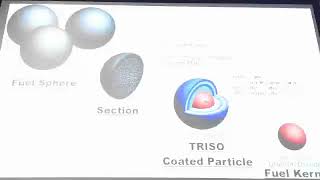 Molten Salt Reactors and Thorium Energy Thomas J Dolan [upl. by Ayitahs]