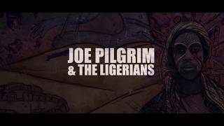 Joe Pilgrim amp The Ligerians meets Pilah Dub Télérama Dub Festival Lyon Transbordeur 2016 [upl. by Ennaehr200]