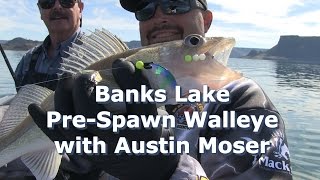 Banks Lake Pre Spawn Walley with Austin Moser [upl. by Atilek]