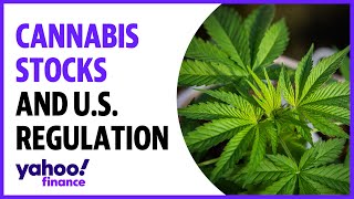 Cannabis stocks What investors need to know about regulation in the US market [upl. by Enaoj]