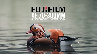 FUJIFILM 70300MM REVIEW  6 MONTHS LATER [upl. by Onateyac199]