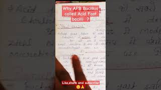 AFB Staining AFB Bacilli ko acid fast kyu bolte haimedical microbiology biology viralshort [upl. by Aynotel167]