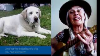 quotHOW MUCH IS THAT DOGGIE IN THE WINDOWquot ukuleledog cover [upl. by Eemiaj]