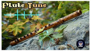 Flute Ringtone  Flute Tune  New Instrumental Music [upl. by Jordison]