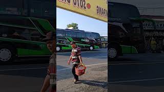 Bus Baraka shortsfeed buspariwisata aziznasa busmania shortsvideo [upl. by Mohun]