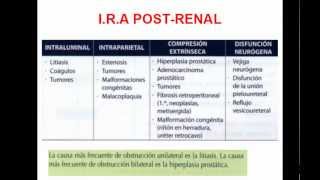 INSUFICIENCIA RENAL AGUDA PARTE 2 [upl. by Zerk812]