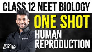 Class 12 NEET  Biology  One Shot  Human Reproduction  Xylem NEET Tamil [upl. by Eittol]