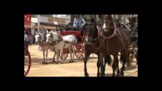 Jerez Horse Feria 2010  Feria los Caballos Jerez [upl. by Tudela]